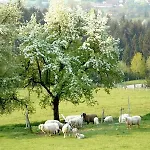 Huber Bleiburg
