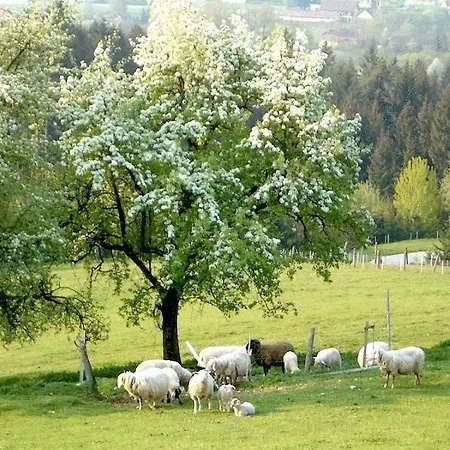 弗日恩豪斯豪贝酒店 布莱堡