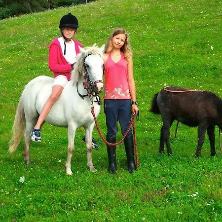 Διαμέρισμα Huber *