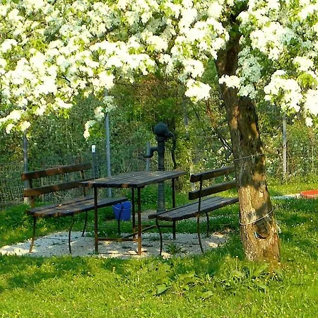 弗日恩豪斯豪贝酒店 * 布莱堡