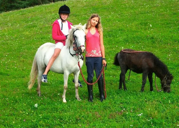 Διαμέρισμα Huber *